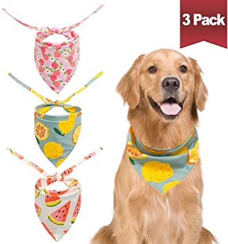 BINGPET 3Pcs Dog Bandana Scarf Washable and Reversible Triangular Bibs Pet Summer Cute Fruit Print for Small to Large Dogs