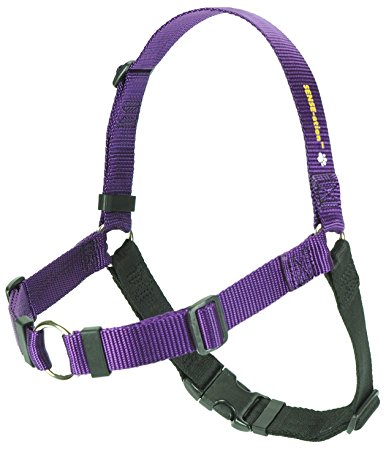 SENSE-ation No-Pull Dog Harness - 1" Medium/Large