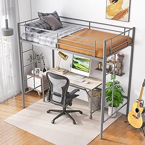 Giantex Metal Loft Bed Twin Size, Heavy Duty Metal Loft Bed Frame with Dual Ladders & Safety Guardrail, No Box Spring Needed, Space-saving Loft Bed for Juniors Teens Adults (Silver)