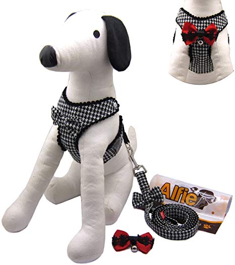 Alfie Pet - Shayne Step-in Harness and Leash Set