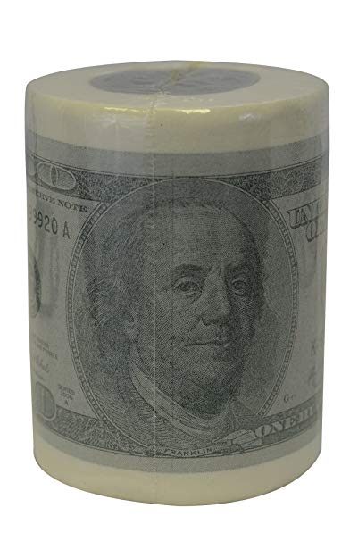 Fairly Odd Novelties USA Money Novelty Toilet Paper, White