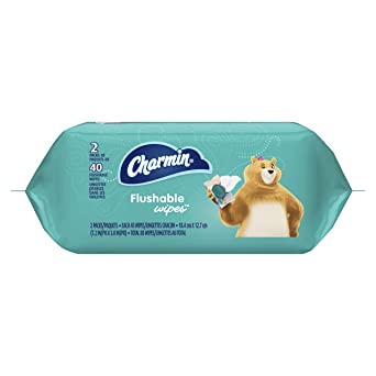 Charmin Flushable Wipes, 80 Total Wipes, 40 Count (Pack of 2)