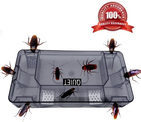 QUIET 100% Quality Assurance,Exquisite, Safe, Efficient, Cockroach Killer, Reusable cockroach Trap,Quickly Captured Roaches