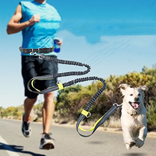 Kyson Retractable Hands Free Dog Leash with Dual Bungees for Running,Walking,Hiking,Reflective Stitching,Adjustable Leash|5.3-8.5Ft|,Waist Belt|27.6”-47.3”|