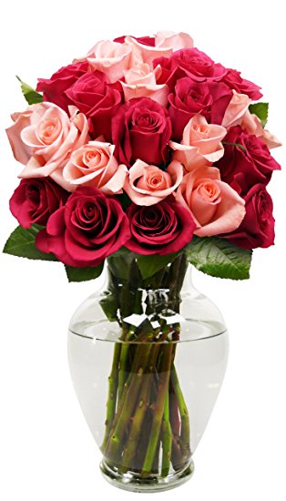 Benchmark Bouquets 2 Dozen Blushing Beauty Roses, With Vase