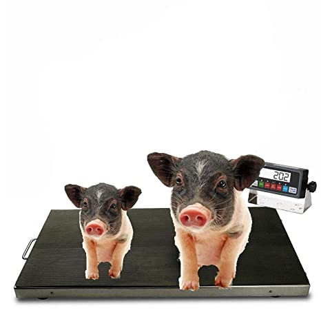 PEC Large Platform Weighing Scales, Vet Animal Livestock Scale for Dog Goat Calf Pig Sheep 700 LB x 0.1 LB 44 x 22 Inch
