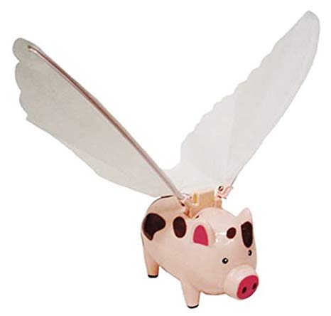 Westminster Flying Pig