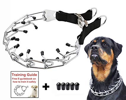 Mayerzon Dog Prong Training Collar, Stainless Steel Choke Pinch Dog Collar with Comfort Tips