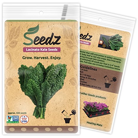CERTIFIED ORGANIC SEEDS (Approx. 550) - Lacinato Kale - Heirloom Seeds Kale Collection - Non GMO, Non Hybrid - USA
