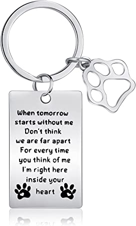 AhlsenL Pet Memorial Keychain, Gift Keychain for Loss of Pet Dogs Cats, Pet Sympathy Gift Remembrance Jewelry Keyrings