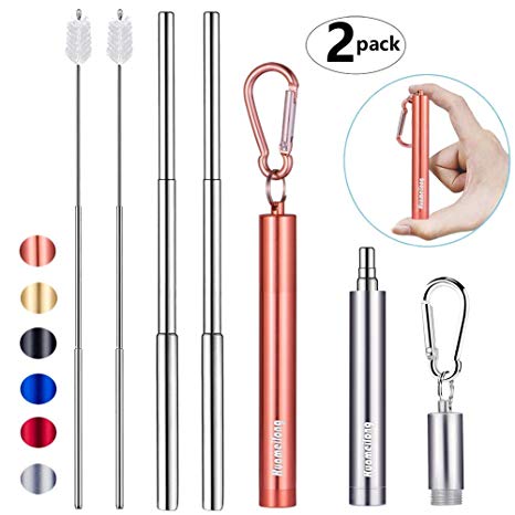 [Updated] 2 Pack Portable Collapsible Reusable Straws - Telescopic Stainless Steel Metal Travel Straw Drinking with Case, Cleaning Brush and Keychain, by Huameilong (Rose and Sliver)
