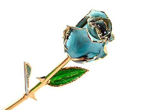 M Dream 24K Gold Rose Blue, Long Stem Trimmed Gold Dipped Real Rose 11 Inches Set of 1,Best Gift for Valentine's Day, Mother's Day, Anniversary, Birthday to Her