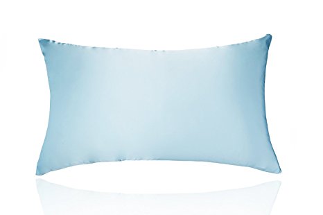 LULUSILK 19 Momme Both Sides 100% Silk Pillowcase, Pillow Cover with Hidden Zipper Closure for Hair and Skin Light Blue Queen Size 1pc, No Satin