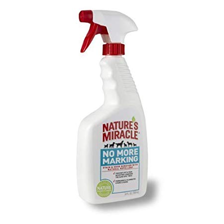 Nature's Miracle No More Marking Stain & Odor Remover, 48-Ounce