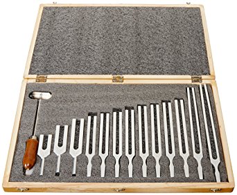 United Scientific TFBOX13 Tuning Fork Wooden Box Set With Mallet, 13 Forks