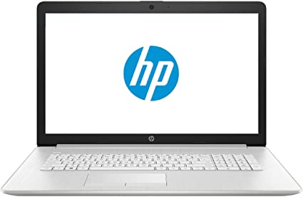 HP 17 Business Laptop - Linux Mint Cinnamon - Intel Quad-Core i5-8265U, 8GB RAM, 256GB PCIe NVMe SSD, 17.3" Inch HD  (1600x900) Display, SD Card Reader, DVD -RW Burner