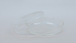 SEOH Petri Dish (mm) 90 - Borosilicate Glass