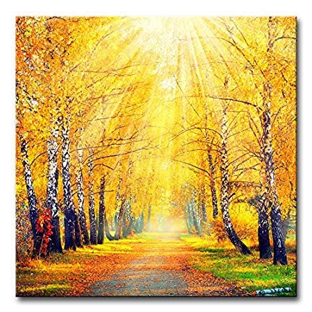 Wall Art Decor Poster Painting On Canvas Print Pictures Beautiful Autumn Fall Scene Autumnal Park Birch Trees Leaves In Sun Rays Landscape Forest Framed Picture For Home Decoration Living Room Artwork
