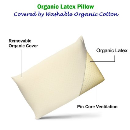 All Organic Latex Pillow 3 sizes. Organic Latex with Organic Covering Standard