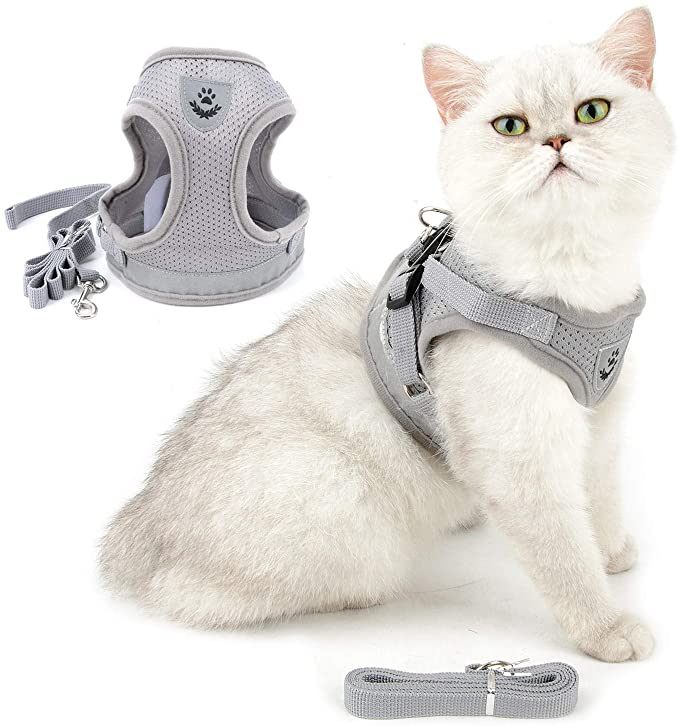 Ranphy Cat Harness and Lead Set，Escape Proof Adjustable Vest No Pull Reflective Walking Jackets Breathable Small dog Step In Harness Soft Mesh Padded for Boy Girl Puppy Kitten Gray S