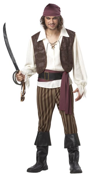 California Costumes Men's Rogue Pirate Costume