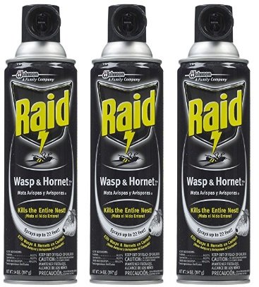 Raid Wasp & Hornet Killer 33 Spray, 14-Ounce (3 Pack)