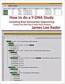 How to do a Y-DNA study: including Next Generation Sequencing Which can contain atDNA, STR Y-DNA and SNP Y-DNA