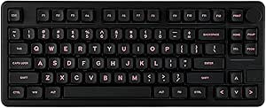 EPOMAKER Galaxy70 Wireless Gaming Keyboard, 75% Aluminium Mechanical Keyboard, Bluetooth 5.0/2.4GHz/USB-C Wired Programmable Keyboard, Hot Swappable Creamy Keyboard (Black, Petal Switch)