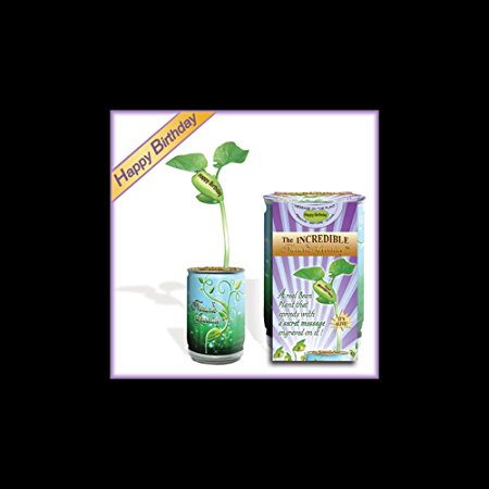"Happy Birthday" Planter Kit - Just Add Water and Watch Your "Happy Birthday" Message Grow Engraved on the Plant. 100% Guarantee to Grow Indoor/outdoor