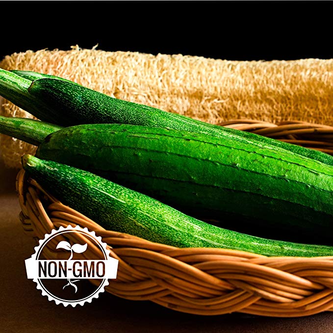 Gaea's Blessing Seeds - Luffa Gourd (30 Seeds) Non-GMO Heirloom Smooth Sponge Loofah Muop Huong 93% Germination Rate