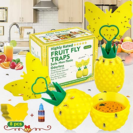 Fruit Fly Trap for Indoors, Gnat Trap Gnat Killer Fly Catcher with Yellow Sticker, Sticky Double-Sided Fruit Fly Traps, Non-Toxic Reusable Fly Trap Comes with Bait for Kitchen/Plant (2 Pack)