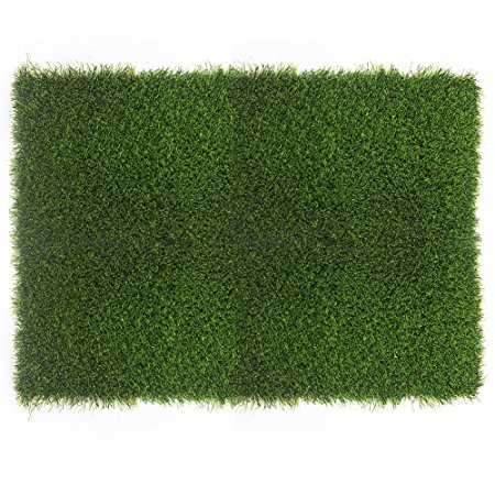 Fasmov Artificial Grass Doormat Multi Purpose Arificial Grass Door Mat, 18" x 23.5"