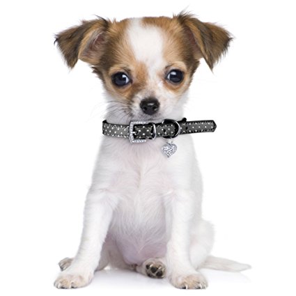 Bling Dog Collar, PETBABA PU Leather Crystal Rhinestone Diamond Metal Buckle Adjustable Collar for Small Dogs
