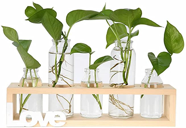 Air Plant Terrariums Propogation Station with Solid Wood Stand,Tabletop Glass Vase Hydroponics Plant Holder for Home Office Decoration(Love)