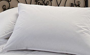Multiple Sizes & Quantities - Set of 2 Caress King Pillows - Polyester Bed Pillows