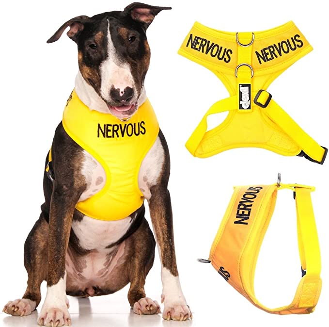 Dexil Limited Nervous (Give Me Space) Yellow Color Coded Non-Pull Front and Back D Ring Padded and Waterproof Vest Dog Harness Prevents Accidents by Warning Others of Your Dog in Advance (L)