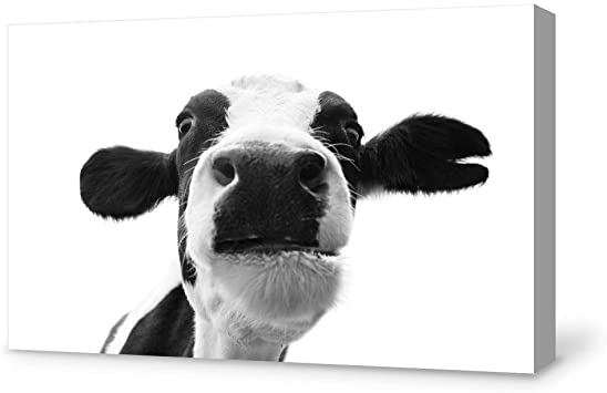 SIGNFORD Canvas Wall Art Humor Cow Canvas Painting Wall Poster Decor for Living Room Framed Home Decorations - 24x36 inches