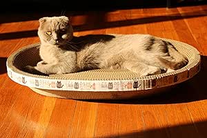 Cardboard Oval Cat Scratcher Bed & Bowl 2-in-1, Available in XL, L, M - Scratch Lounge & Furniture Protector