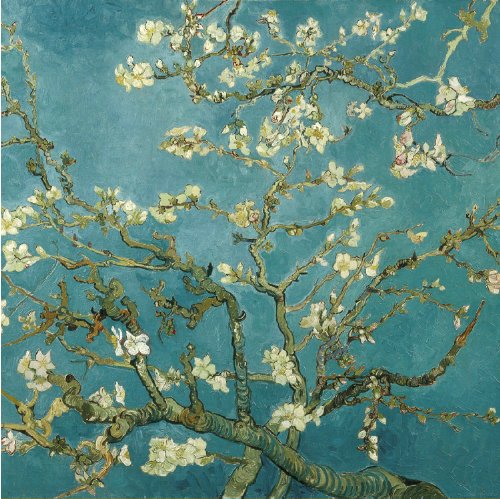 Diy oil painting, paint by number kit- worldwide famous oil painting Apricot Blossom by Van Gogh 1620 inch.