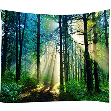 Nature and the Forest's Ultimate Landscape Enjoy this Visual Feast Home Decoration Tapestry (Brown, 78Wx59L)
