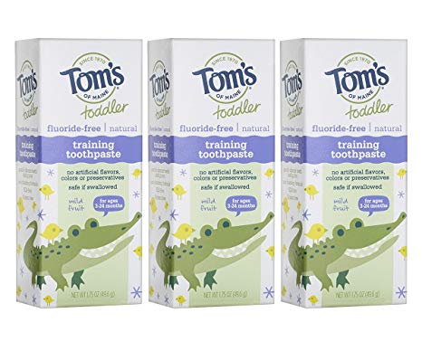 Tom's of Maine Toddlers Fluoride-Free Natural Toothpaste in Gel, Mild Fruit, 1.75 Ounce, 3 Count