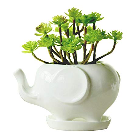 Youfui Cute Succulent Planter Animal Shaped Flower Pot Decor for Home Office Desk (Elephant L)