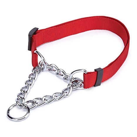 Guardian Gear Martingale Adjustable Choke-Style  Dog Collar