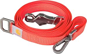 Carhartt Pet Durable Nylon Webbing Leashes for Dogs, Reflective Stitching for Visibility, Coral Glow (Nylon Webbing), Large