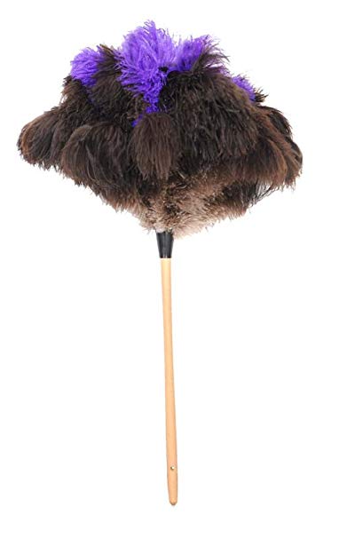 Royal Ostrich Feather Duster (Large (28" inch), Gray)