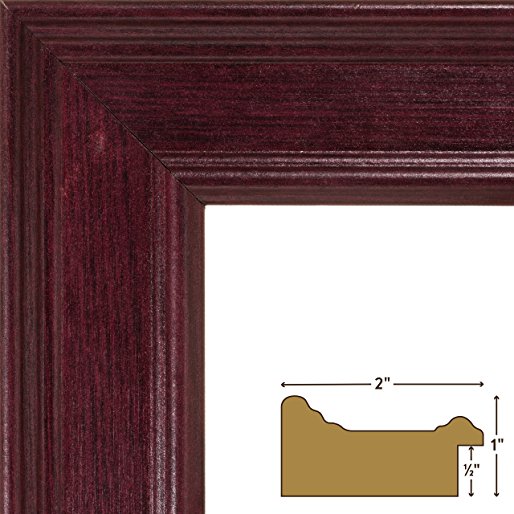 Craig Frames FM97MA 20x28-Inch Picture Frame, 2-Inch Wide, Mahogany, .090-Inch Acrylic, Foamcore