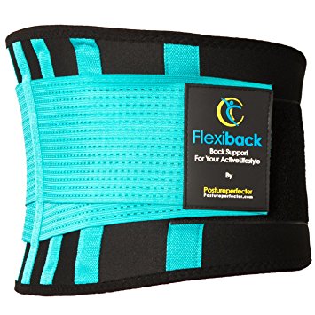 Posture Perfecter Lower Back Brace With Adjustable Lumbar Support Belt -Pain Relief From Sciatica Scoliosis Spondylolisthesis & More - Pain Reducing Corset For Posture Correction