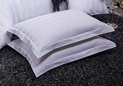 Topsleepy 100% Cotton Striped Pillowcases Full Size 2-pack Pillow Covers (Queen Size, White)