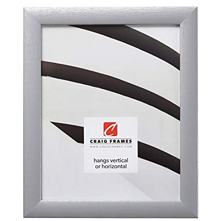 Craig Frames 23247018 Picture Frame, 9 x 12 Inch, Brushed Silver
