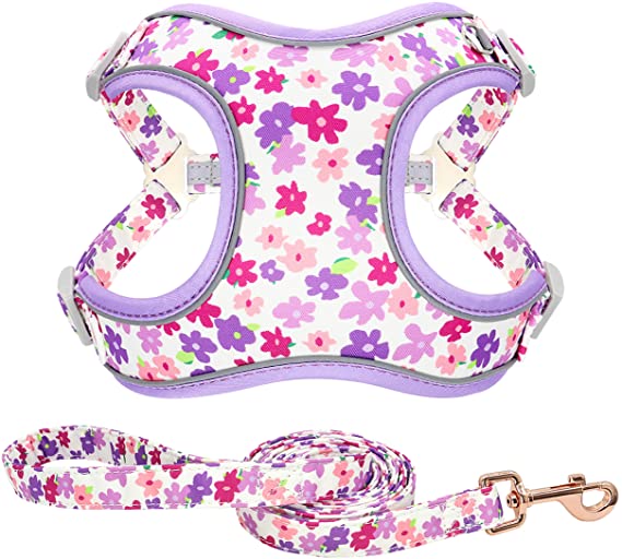 Beirui Floral Reflective Puppy Dog Harness and Leash Set - Soft Air Mesh Dog Vest Harness for Small Medium Dogs Walking (Chest 17-20”,Purple)